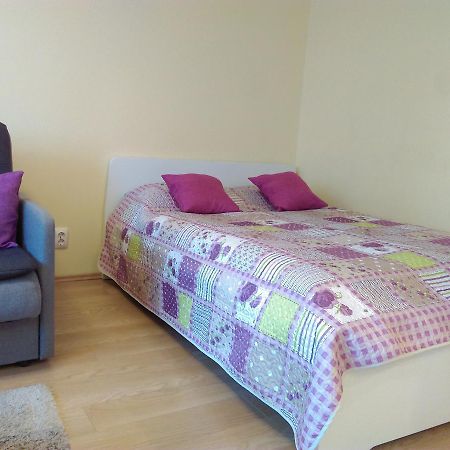 Gina'S Apartment Partizanu G Kaunas Ngoại thất bức ảnh