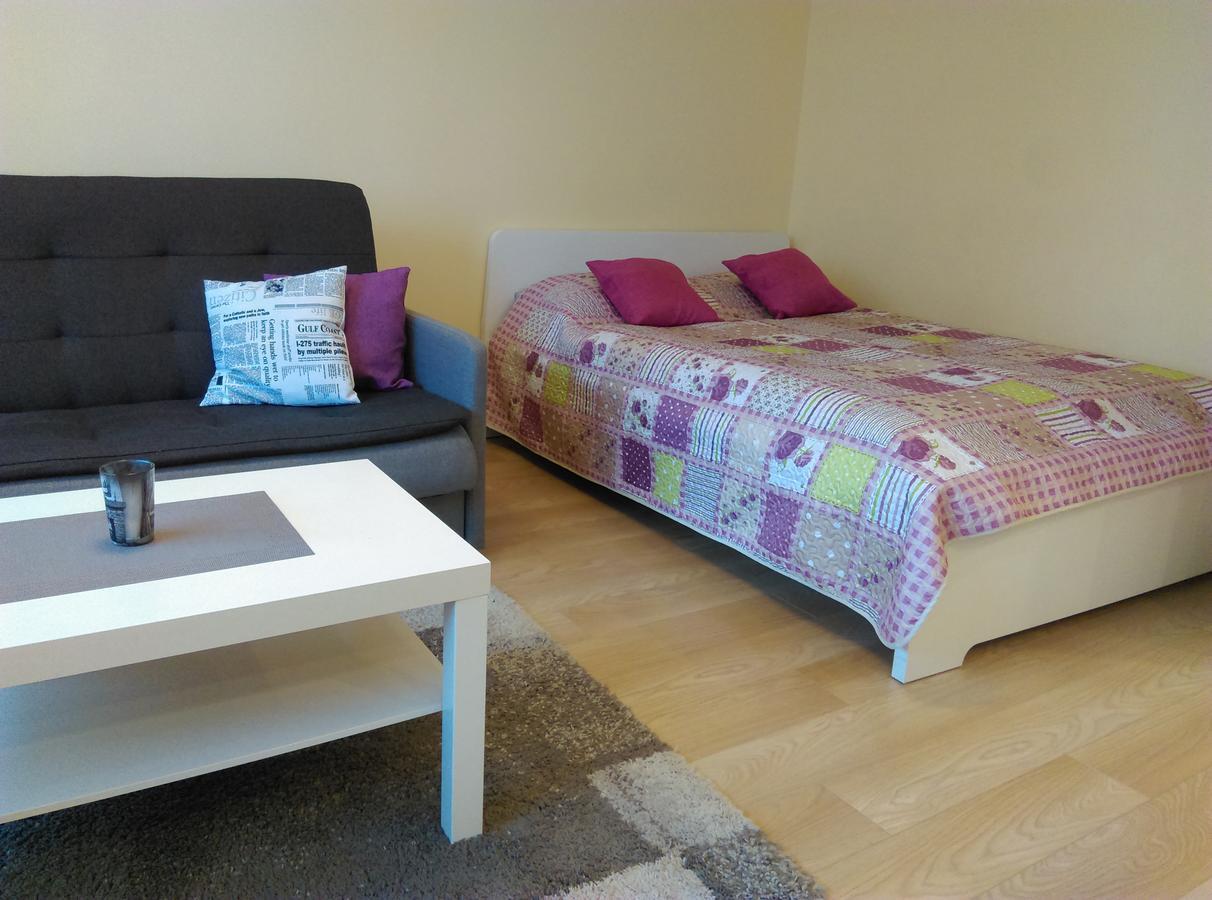 Gina'S Apartment Partizanu G Kaunas Ngoại thất bức ảnh