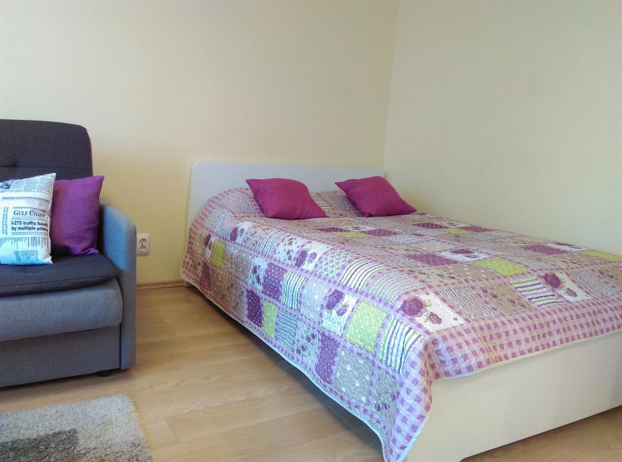 Gina'S Apartment Partizanu G Kaunas Ngoại thất bức ảnh